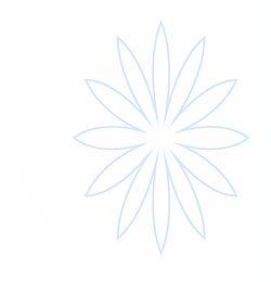 蘑菇加速器【官网入口】｜蘑菇加速器